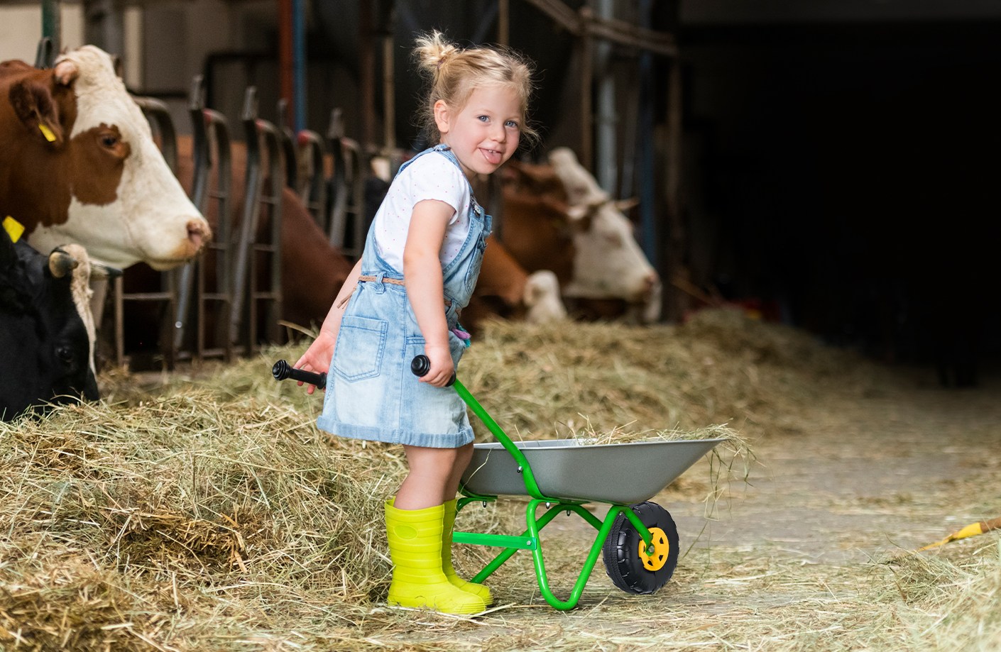 Exklusivartikel & Handelsmarken
